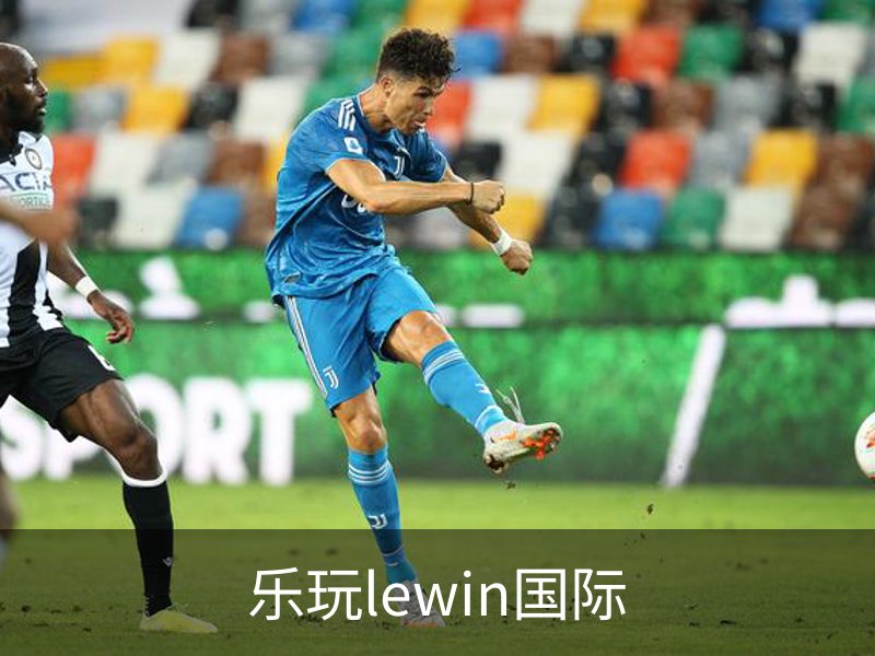 乐玩lewin国际简介
